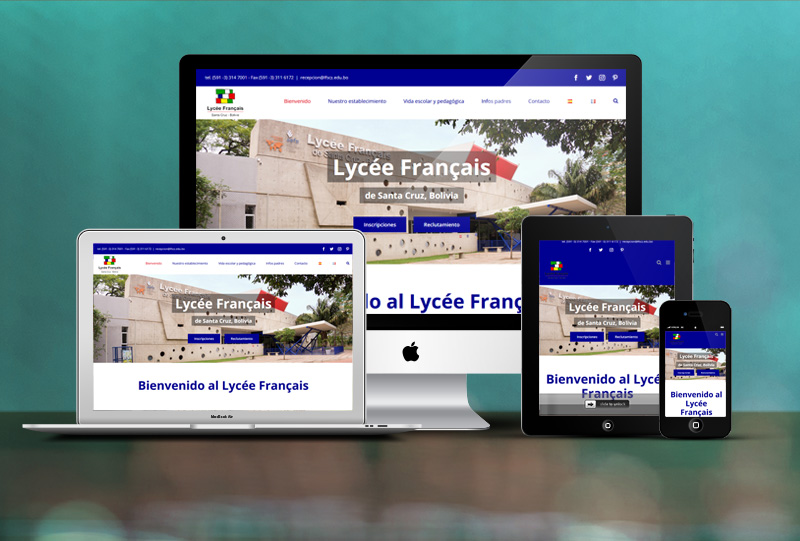 Odin-creation-webdesign-lycee-francais-2